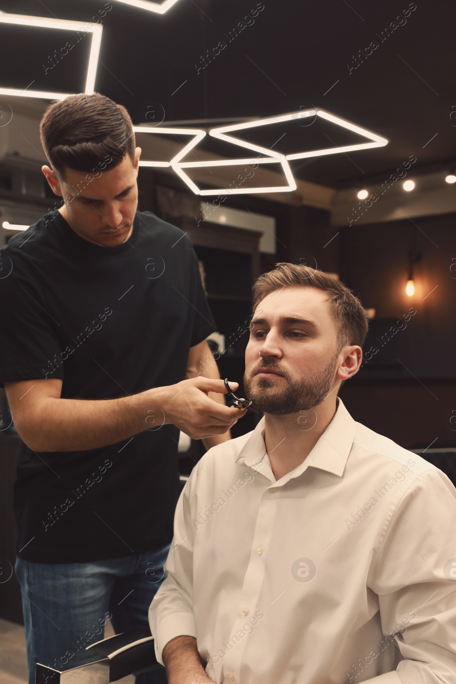 Professional hairdresser working with client in barbershop Photo of Professional hairdresser working with client in barbershop