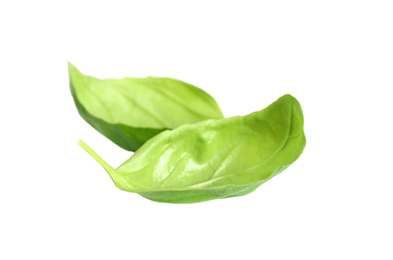 Fresh green basil leaves isolated on white Photo of Fresh green basil leaves isolated on white