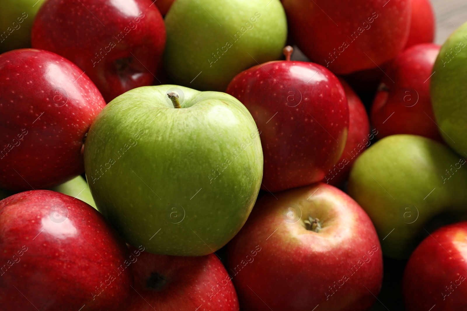 Fresh red and green apples, closeup Photo of Fresh red and green apples, closeup