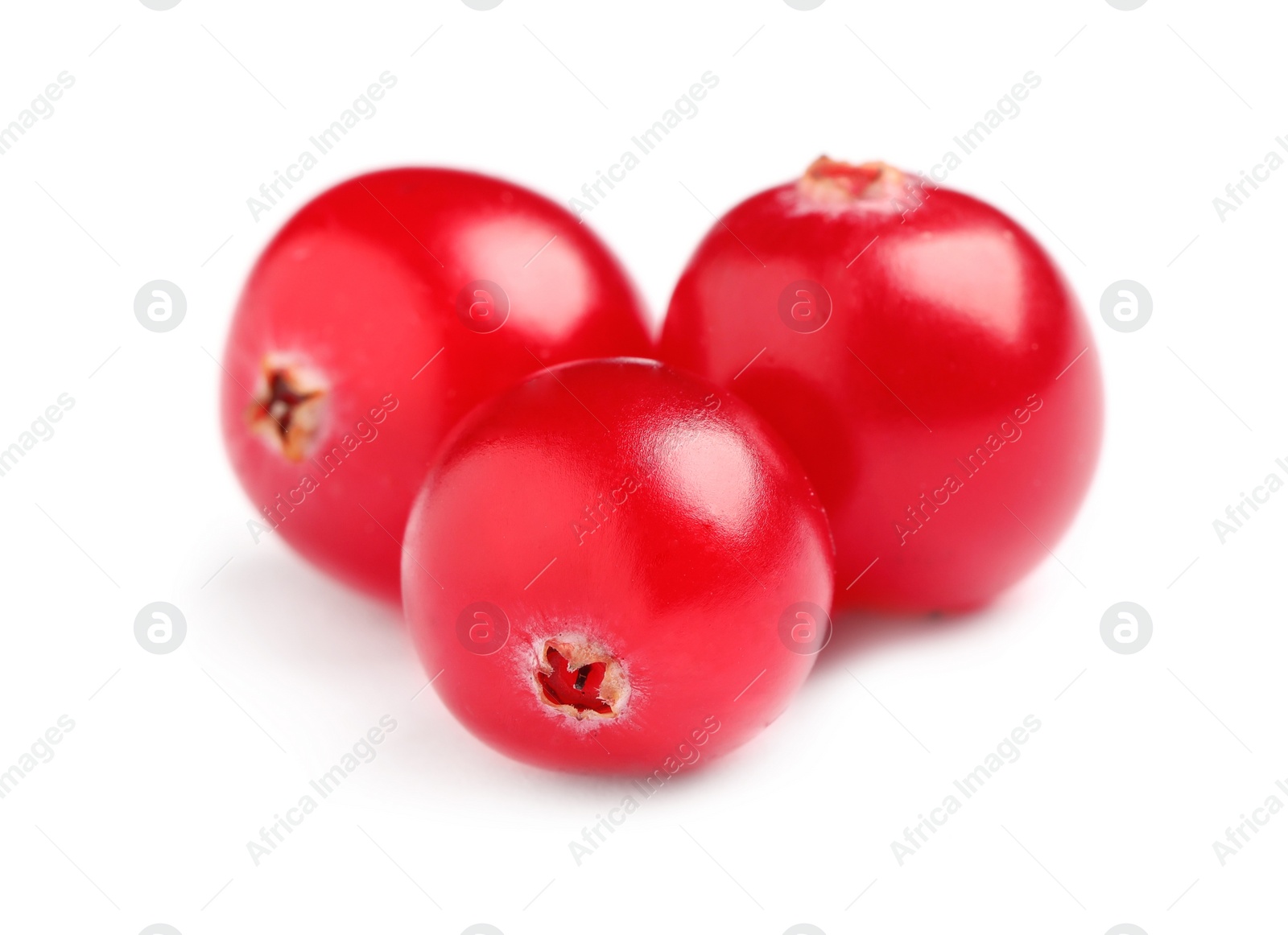 Fresh red cranberries on white background. Healthy snack Photo of Fresh red cranberries on white background. Healthy snack
