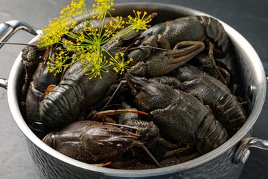 Fresh raw crayfishes with dill in pot on table, closeup Photo of Fresh raw crayfishes with dill in pot on table, closeup