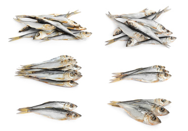 Set of tasty dry fish on white background Image of Set of tasty dry fish on white background