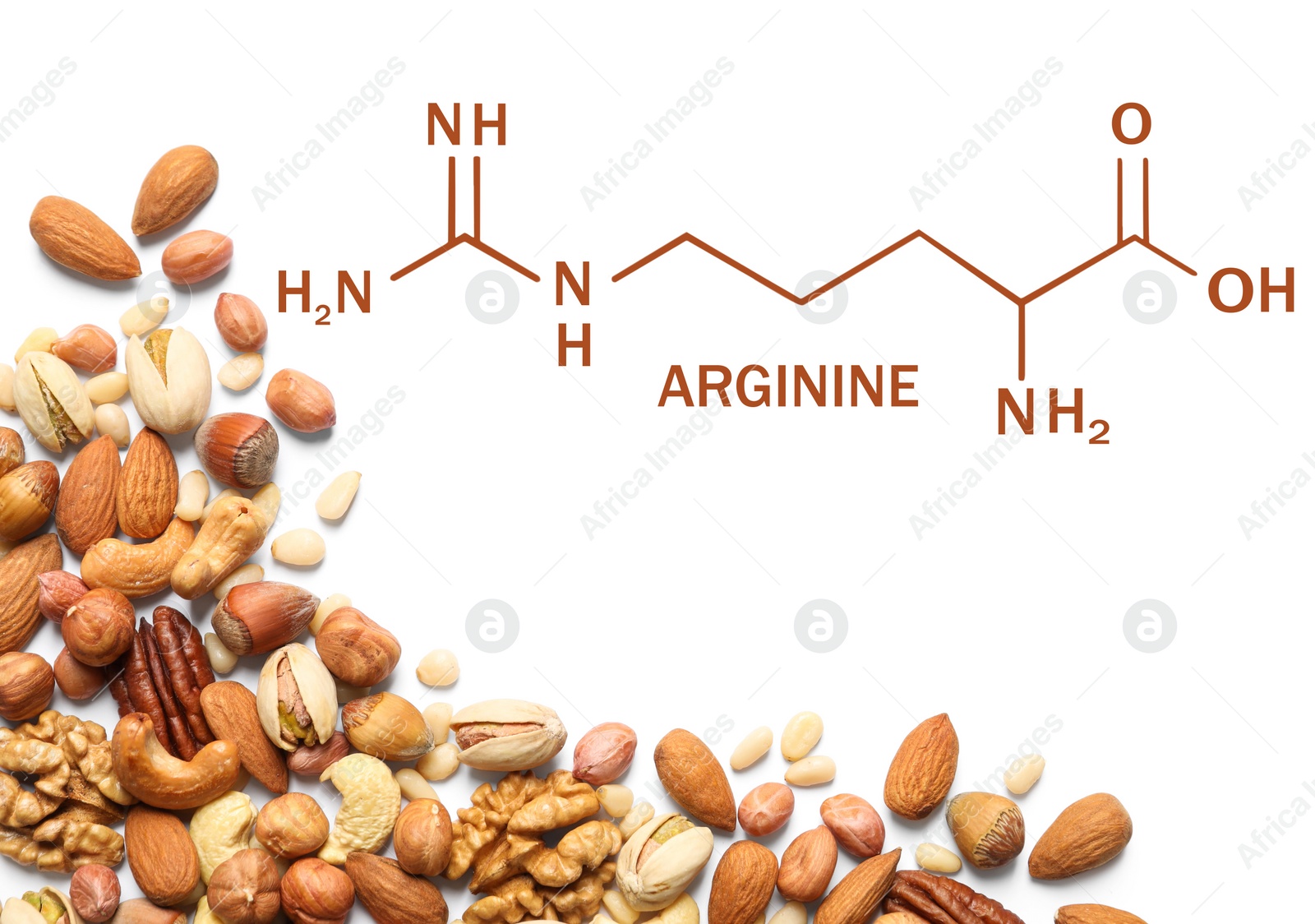Different delicious nuts on white background, flat lay. Sources of essential amino acids Image of Different delicious nuts on white background, flat lay. Sources of essential amino acids