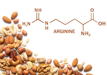 Different delicious nuts on white background, flat lay. Sources of essential amino acids Image of Different delicious nuts on white background, flat lay. Sources of essential amino acids