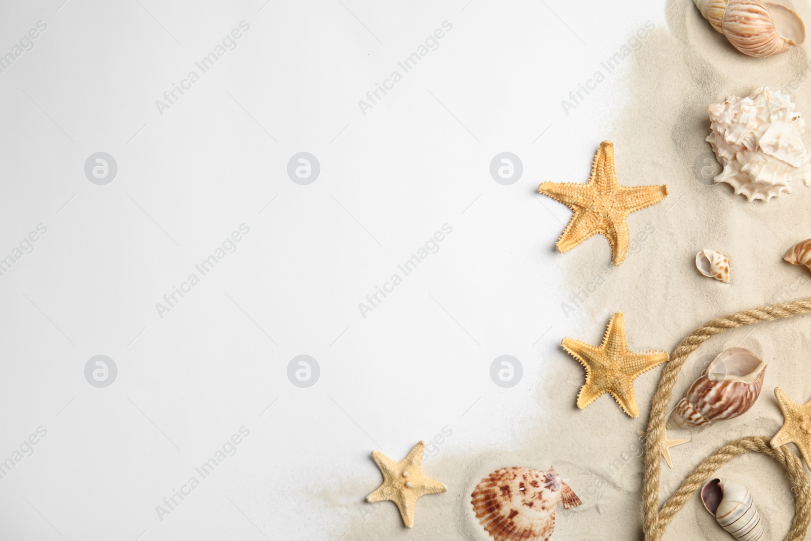 Beautiful sea stars, shells, rope and sand on white background, flat lay. Space for text Photo of Beautiful sea stars, shells, rope and sand on white background, flat lay. Space for text