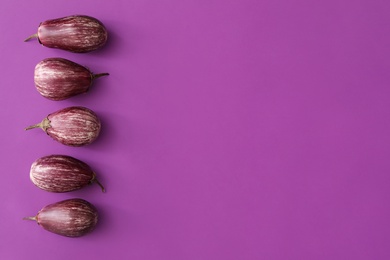 Raw ripe eggplants on purple background, flat lay. Space for text Photo of Raw ripe eggplants on purple background, flat lay. Space for text
