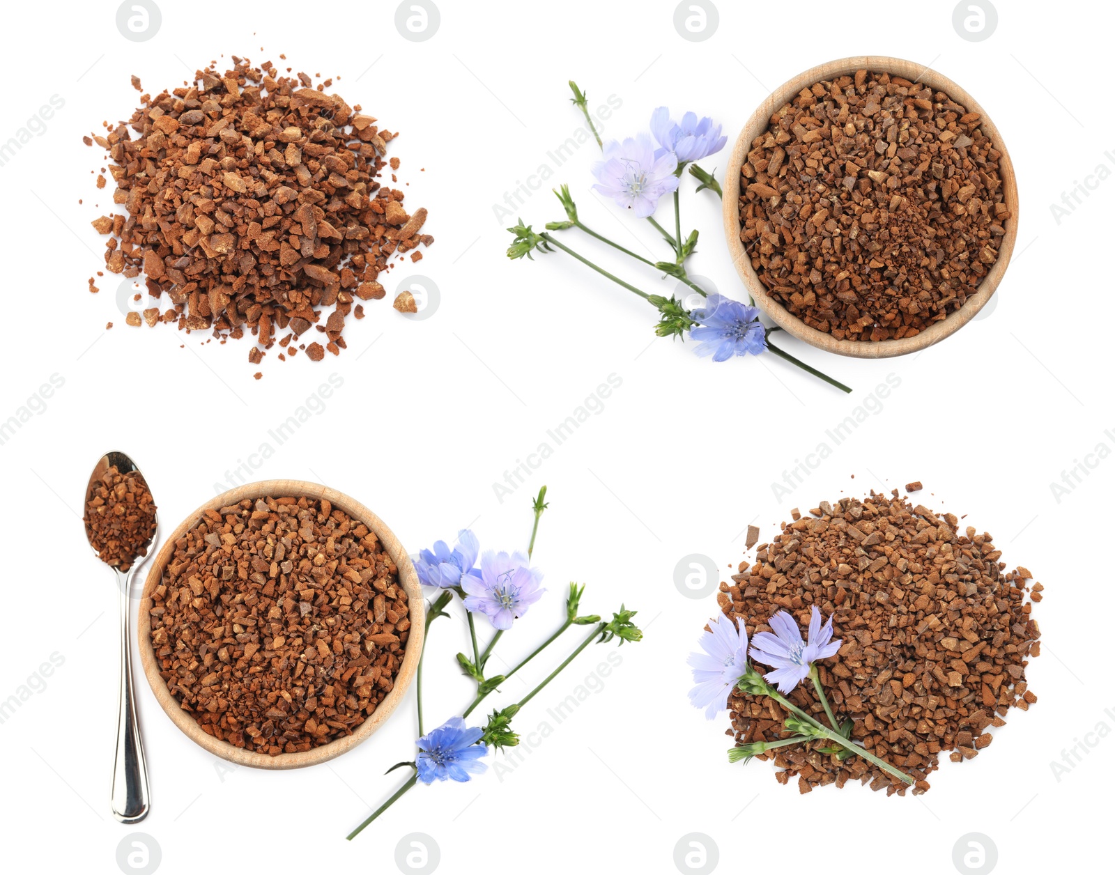 Set with chicory granules and flowers on white background, top view Image of Set with chicory granules and flowers on white background, top view