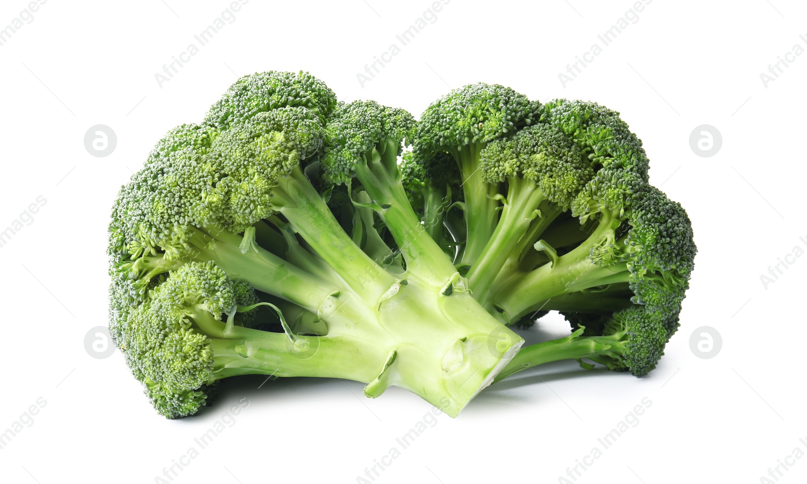 Photo of Fresh broccoli isolated on white. Edible green plant