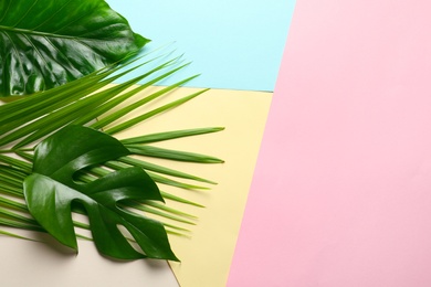 Different tropical leaves on color background, top view Photo of Different tropical leaves on color background, top view