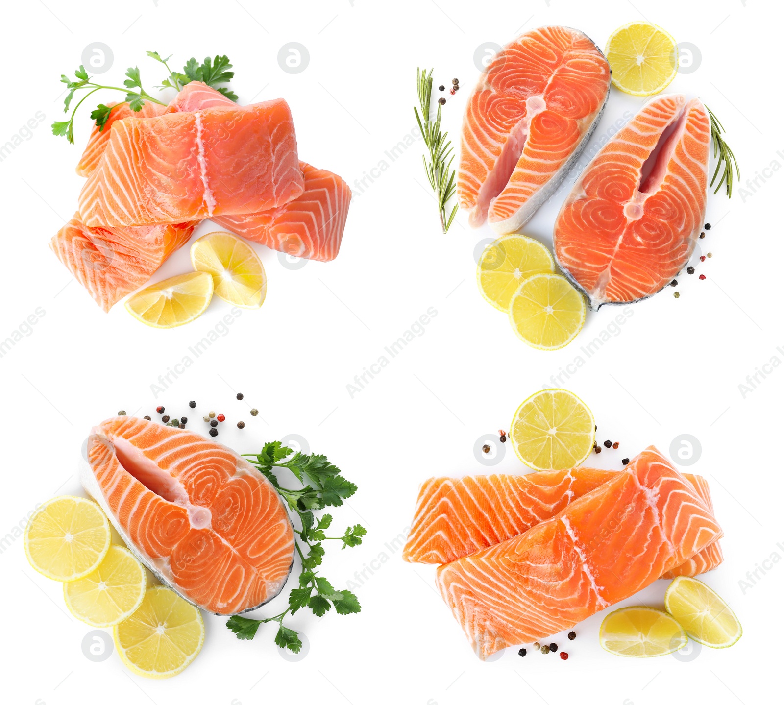 Set of fresh raw salmon on white background, top view. Fish delicacy Image of Set of fresh raw salmon on white background, top view. Fish delicacy