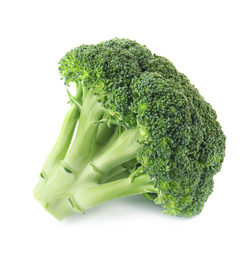 Fresh broccoli isolated on white. Edible green plant Photo of Fresh broccoli isolated on white. Edible green plant