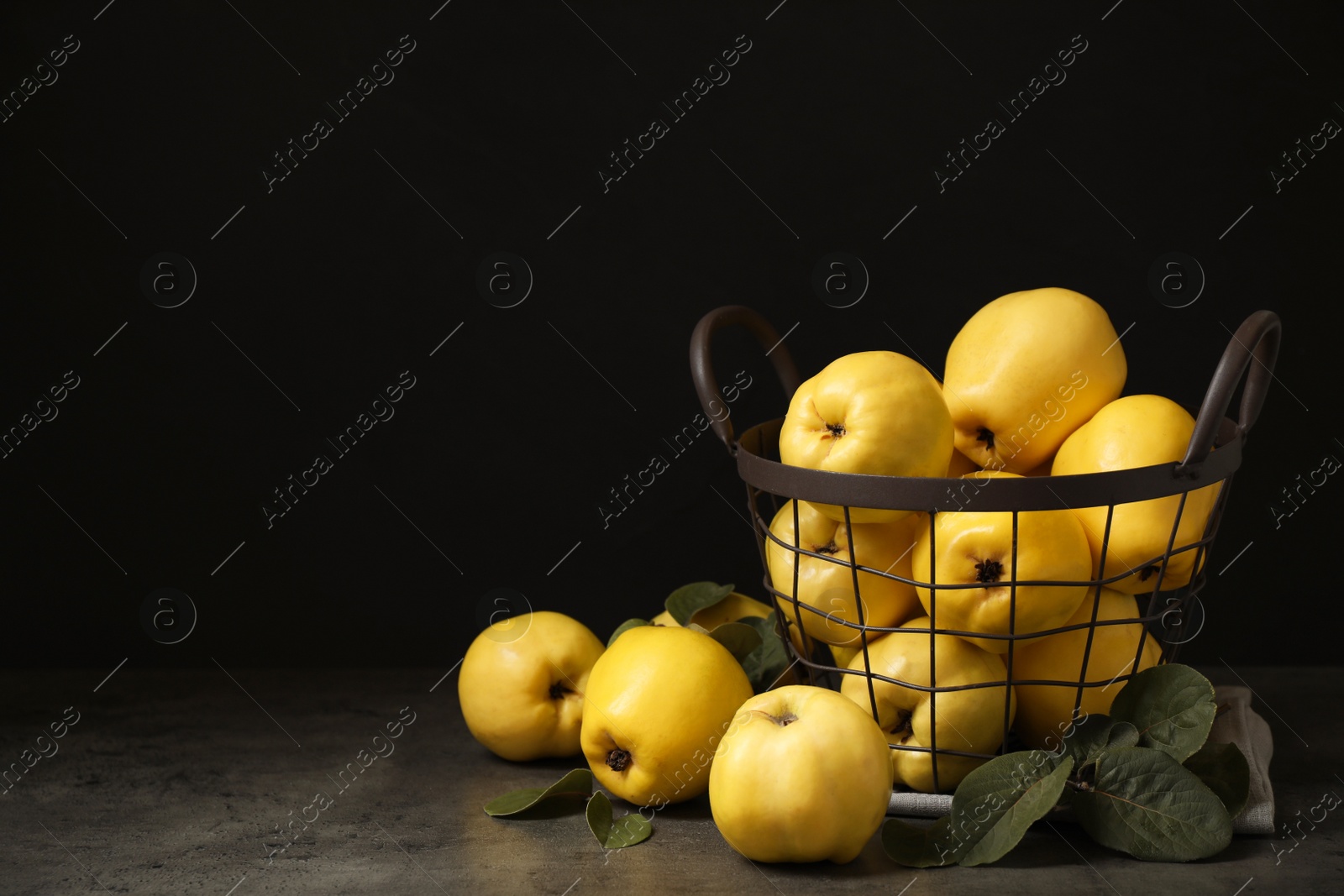 Fresh ripe organic quinces with leaves on grey table Photo of Fresh ripe organic quinces with leaves on grey table