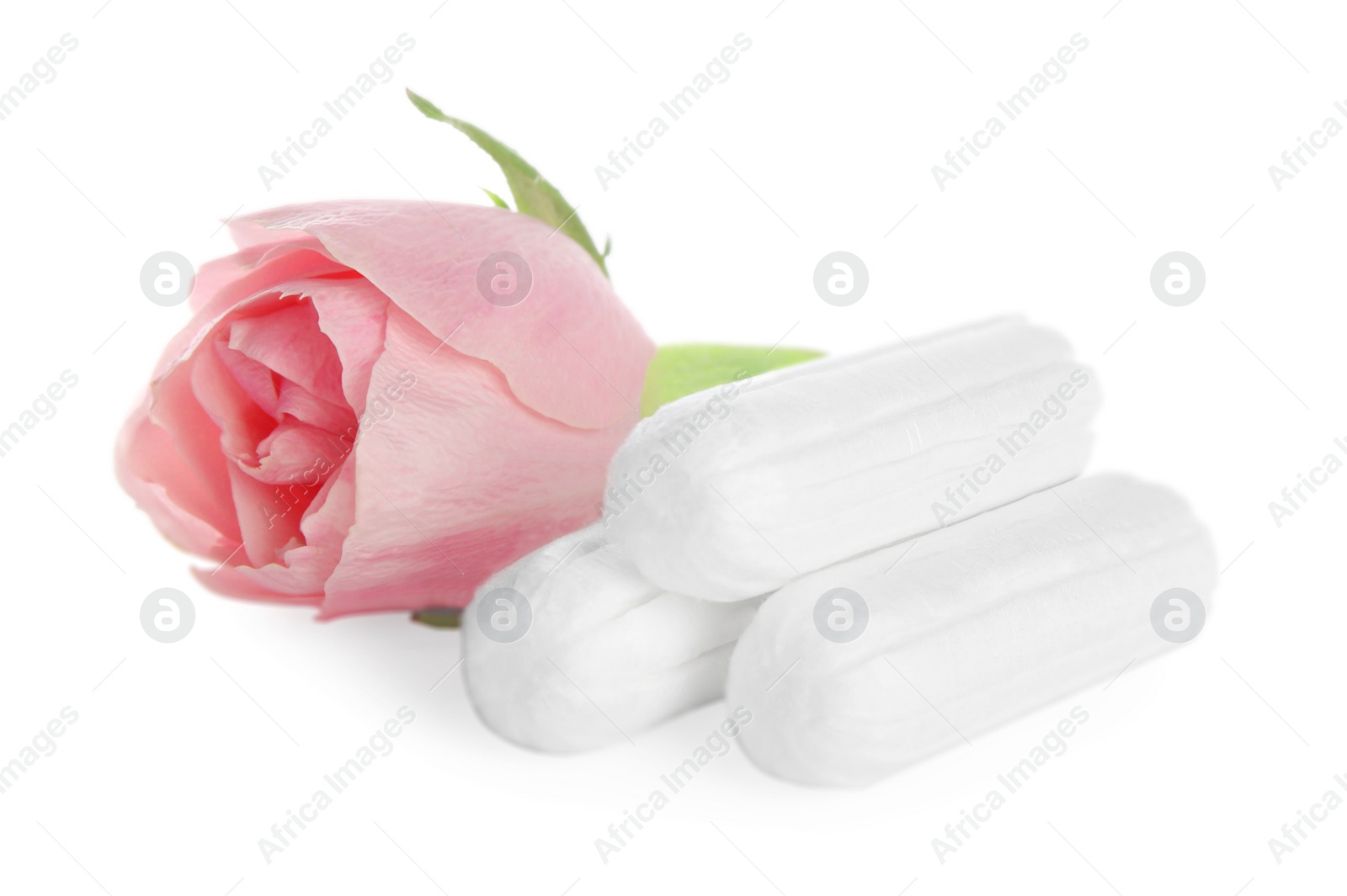 Tampons and beautiful rose on white background Photo of Tampons and beautiful rose on white background