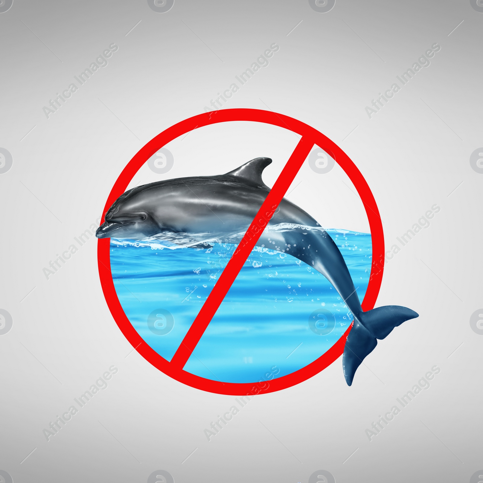 Dolphin and red prohibition sign on light grey background. Anti-Captivity Campaign Image of Dolphin and red prohibition sign on light grey background. Anti-Captivity Campaign