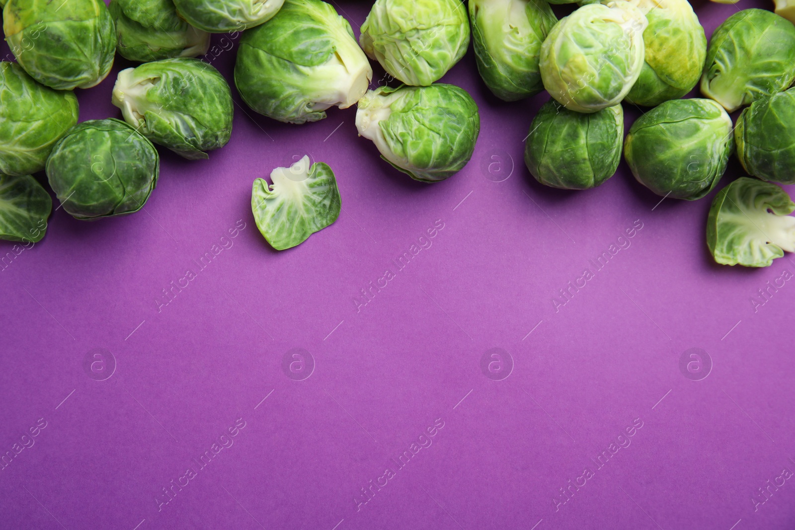 Fresh Brussels sprouts on purple background, flat lay. Space for text Photo of Fresh Brussels sprouts on purple background, flat lay. Space for text