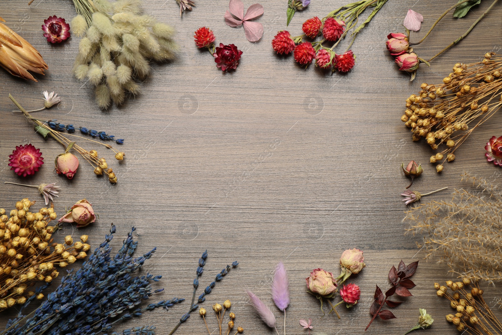Frame of different dry flowers on wooden background, flat lay. Space for text Photo of Frame of different dry flowers on wooden background, flat lay. Space for text