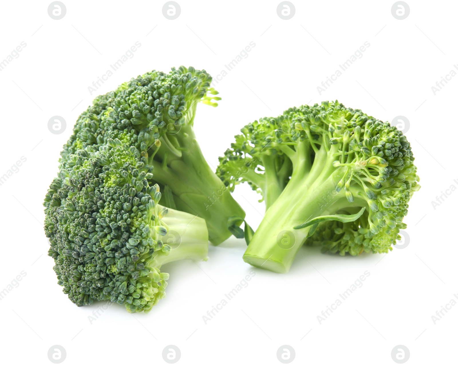 Fresh broccoli isolated on white. Edible green plant Photo of Fresh broccoli isolated on white. Edible green plant