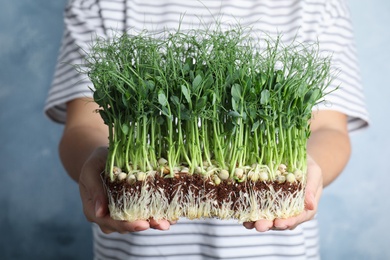 Woman holding fresh microgreen on blue background, closeup Photo of Woman holding fresh microgreen on blue background, closeup