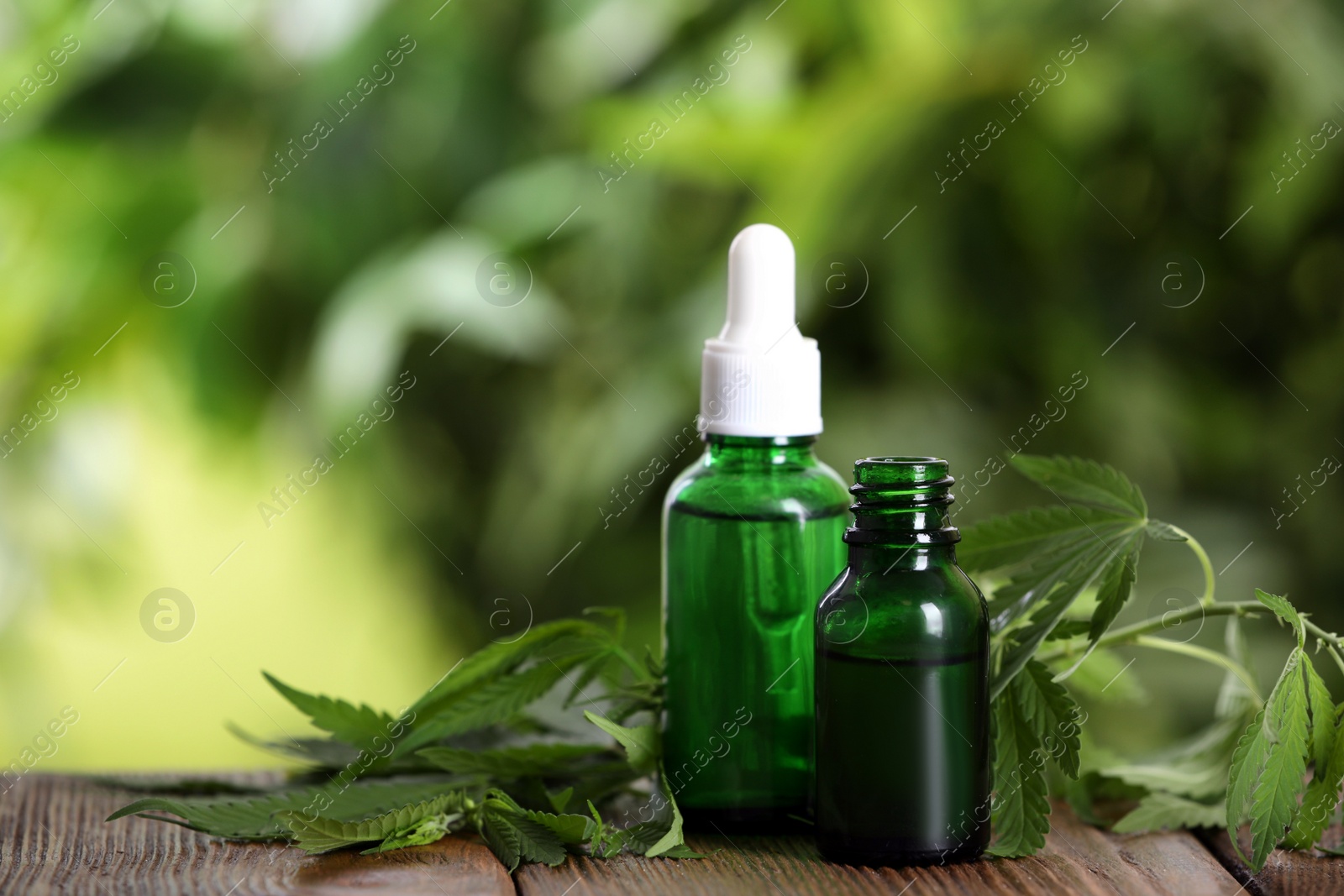 Hemp leaves, bottles of CBD oil and THC tincture on wooden table. Space for text Photo of Hemp leaves, bottles of CBD oil and THC tincture on wooden table. Space for text
