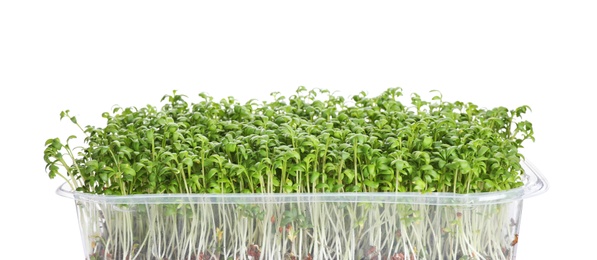 Fresh organic microgreen in plastic container on white background Photo of Fresh organic microgreen in plastic container on white background