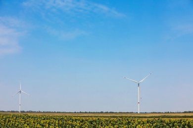 Modern wind turbine in sunflower field. Energy efficiency Photo of Modern wind turbine in sunflower field. Energy efficiency