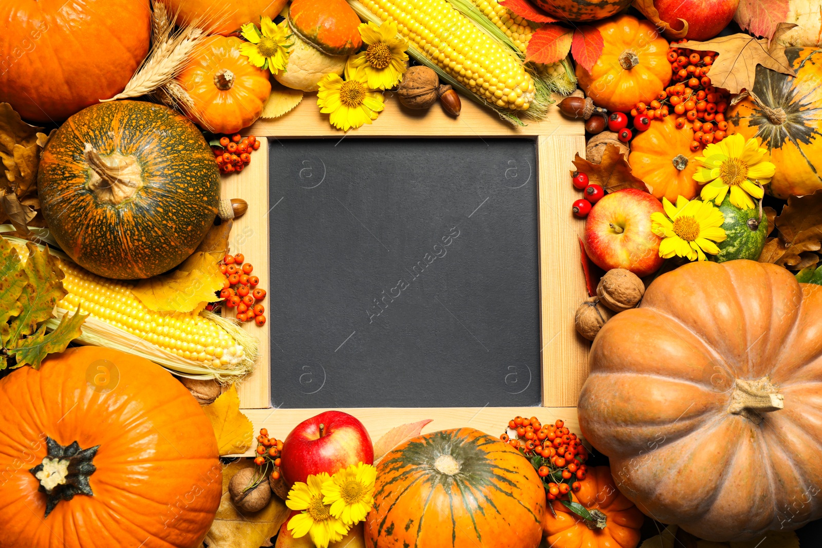 Composition of blank blackboard with space for text, ripe pumpkins and autumn leaves as background, top view. Happy Thanksgiving day Photo of Composition of blank blackboard with space for text, ripe pumpkins and autumn leaves as background, top view. Happy Thanksgiving day