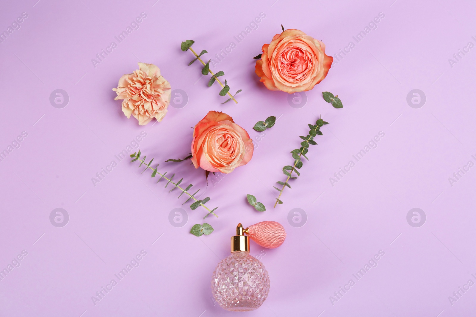 Beautiful flat lay composition with bottle of perfume, eucalyptus and flowers on lilac background Photo of Beautiful flat lay composition with bottle of perfume, eucalyptus and flowers on lilac background