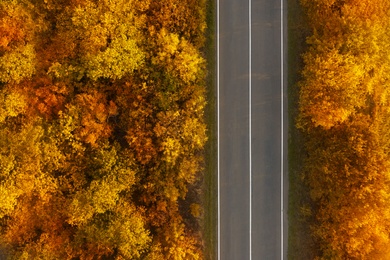 Beautiful aerial view of autumn forest crossed by asphalt road Image of Beautiful aerial view of autumn forest crossed by asphalt road