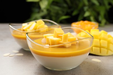 Delicious panna cotta with mango coulis and fresh fruit pieces on grey table Photo of Delicious panna cotta with mango coulis and fresh fruit pieces on grey table