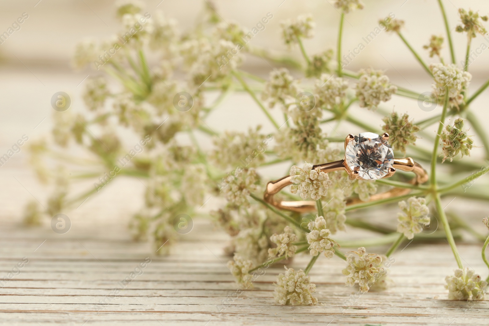 Beautiful engagement ring with gemstone and flowers on white wooden table, closeup. Space for text Photo of Beautiful engagement ring with gemstone and flowers on white wooden table, closeup. Space for text