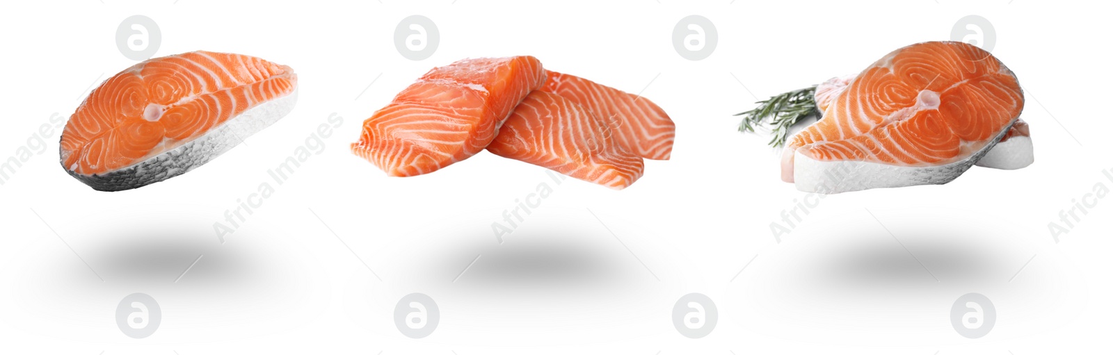 Set of fresh raw salmon on white background. Fish delicacy Image of Set of fresh raw salmon on white background. Fish delicacy