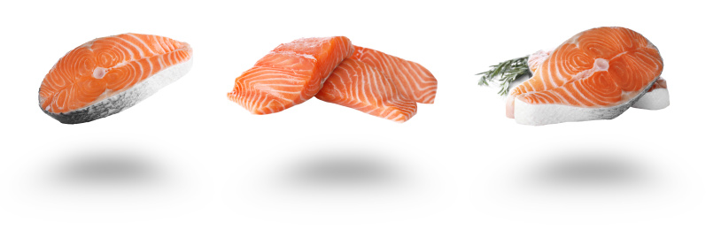 Set of fresh raw salmon on white background. Fish delicacy Image of Set of fresh raw salmon on white background. Fish delicacy