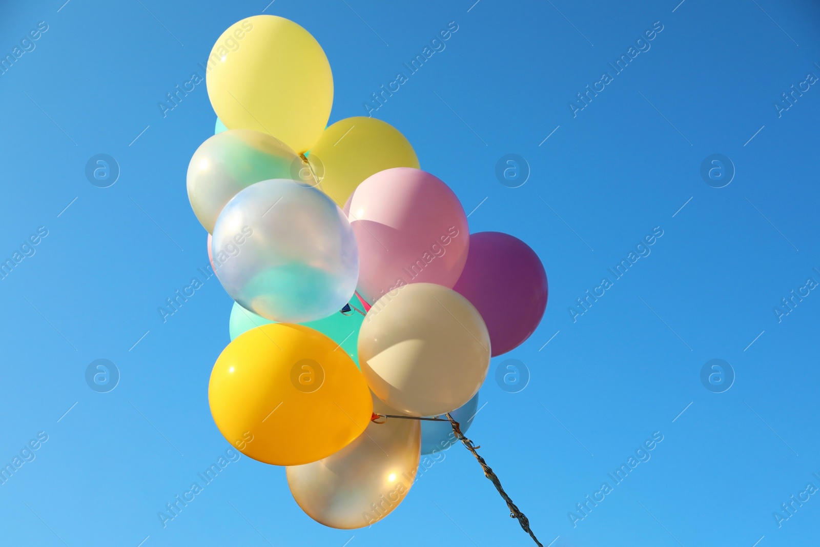 Many sunlit bright balloons in blue sky Image of Many sunlit bright balloons in blue sky