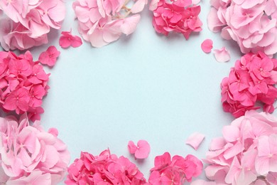 Frame of beautiful hortensia flowers on pale light blue background, flat lay. Space for text Photo of Frame of beautiful hortensia flowers on pale light blue background, flat lay. Space for text