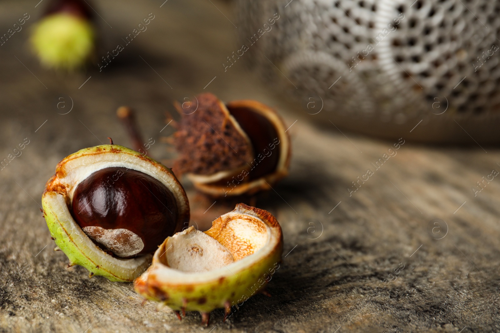 Photo of Horse chestnuts on wooden table, closeup view. Space for text
