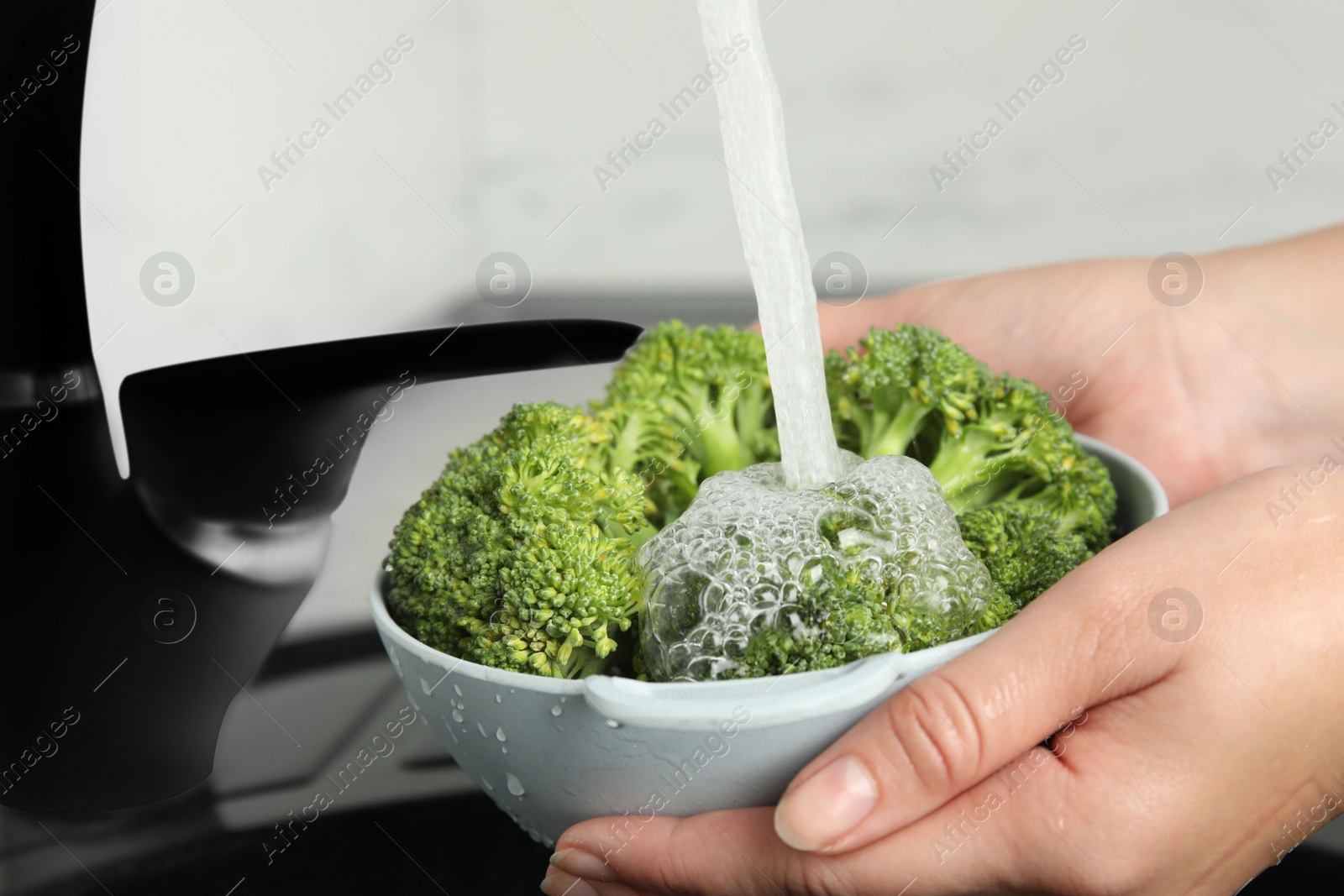 Woman washing fresh green broccoli in kitchen sink, closeup Photo of Woman washing fresh green broccoli in kitchen sink, closeup