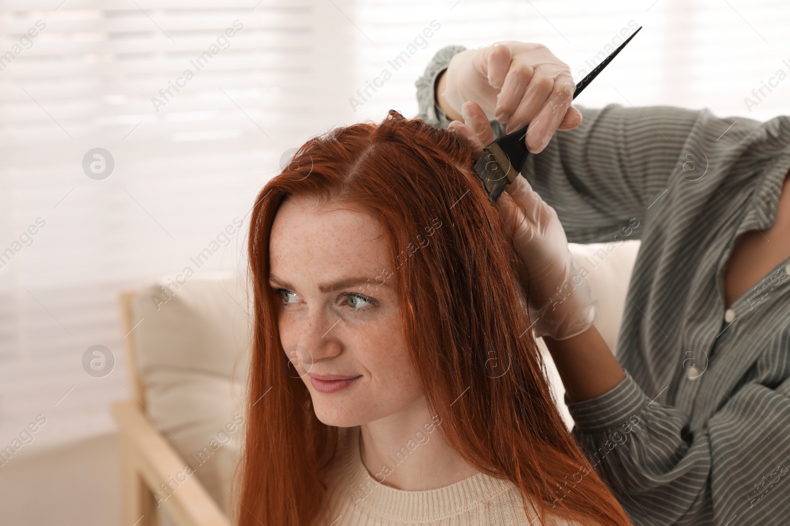 Professional hairdresser dyeing woman's hair with henna in beauty salon Photo of Professional hairdresser dyeing woman's hair with henna in beauty salon