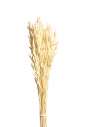 Photo of Bouquet of dried flowers on white background