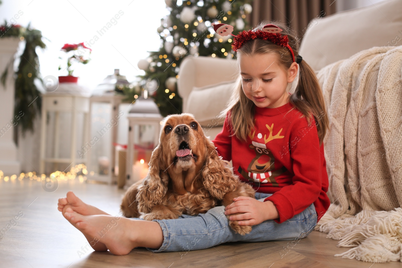 Photo of Cute little girl with English Cocker Spaniel in room decorated for Christmas