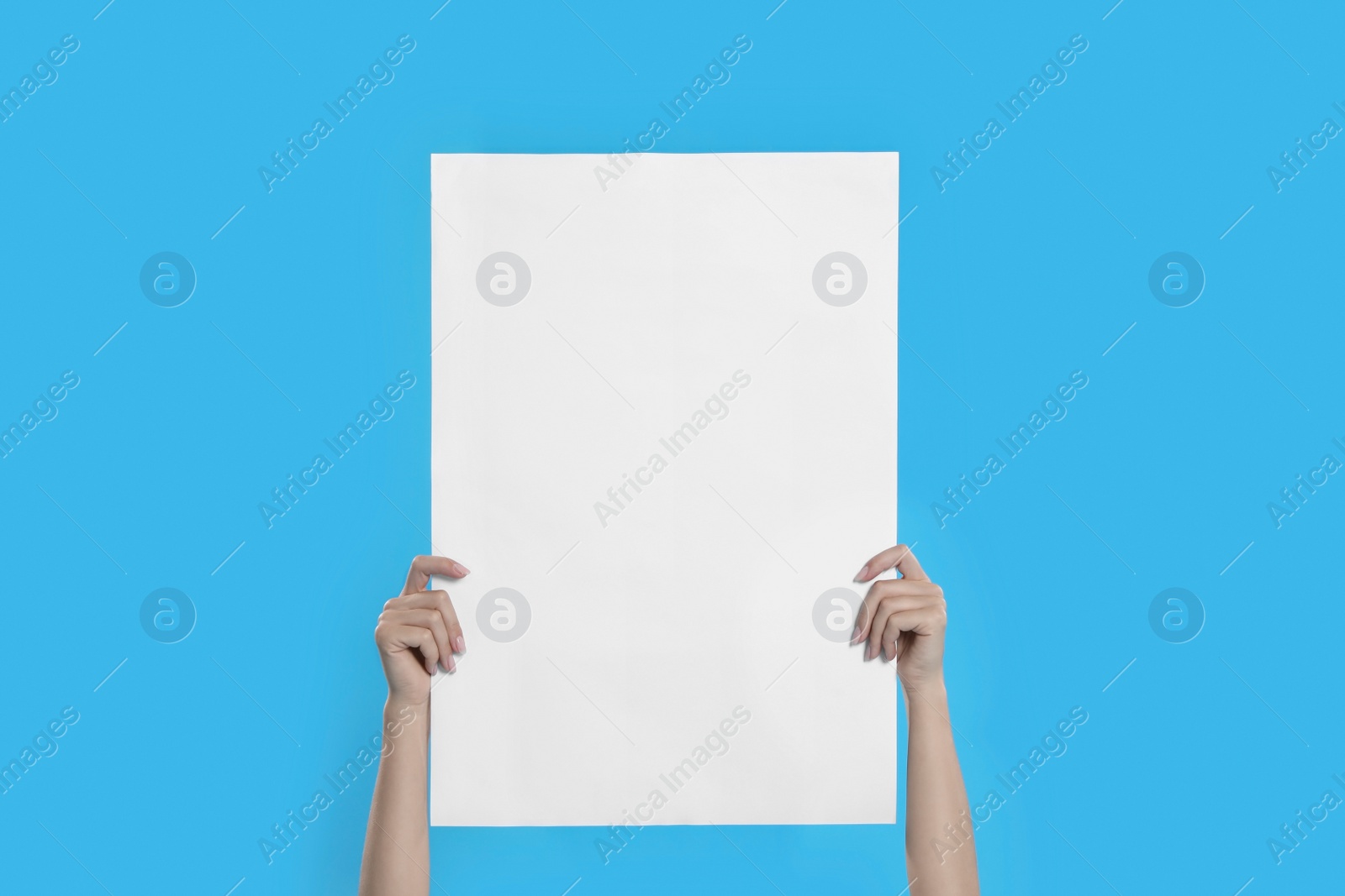 Woman holding blank poster on blue background, closeup Photo of Woman holding blank poster on blue background, closeup