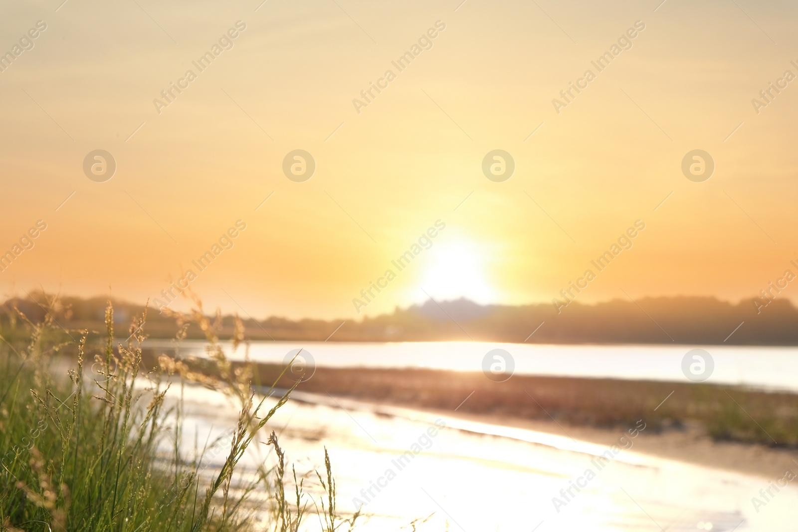 Picturesque landscape with beautiful sunlit lake, focus on grass Photo of Picturesque landscape with beautiful sunlit lake, focus on grass