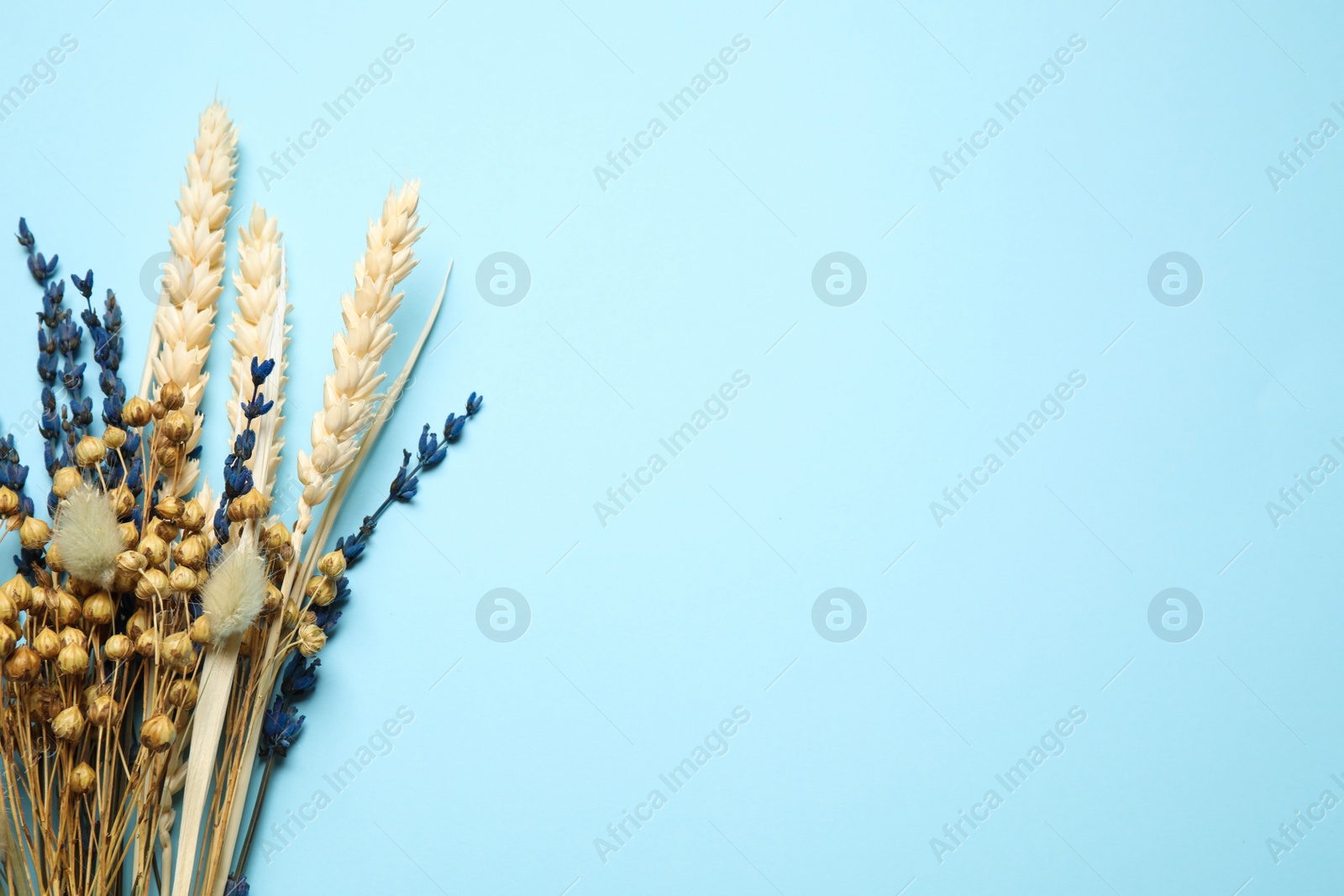 Bouquet of dried flowers on light blue background, flat lay. Space for text Photo of Bouquet of dried flowers on light blue background, flat lay. Space for text