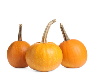 Fresh ripe pumpkins isolated on white background. Autumn season Photo of Fresh ripe pumpkins isolated on white background. Autumn season