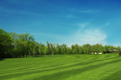 Picturesque view of golf course with fresh green grass and trees Photo of Picturesque view of golf course with fresh green grass and trees