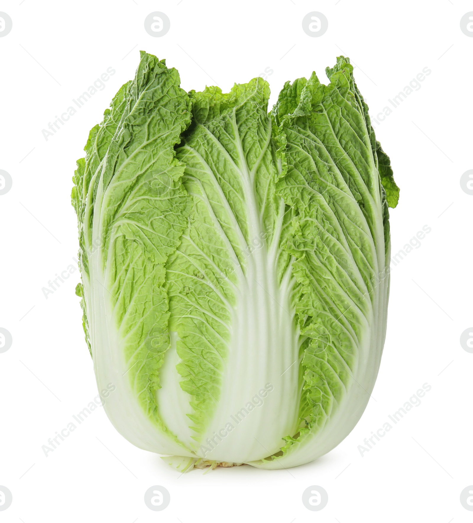 Fresh ripe Chinese cabbage isolated on white Photo of Fresh ripe Chinese cabbage isolated on white