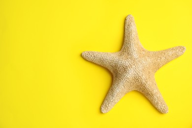 Beautiful sea star on yellow background, top view. Space for text Photo of Beautiful sea star on yellow background, top view. Space for text