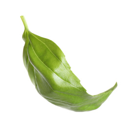 Photo of Fresh green basil leaf isolated on white
