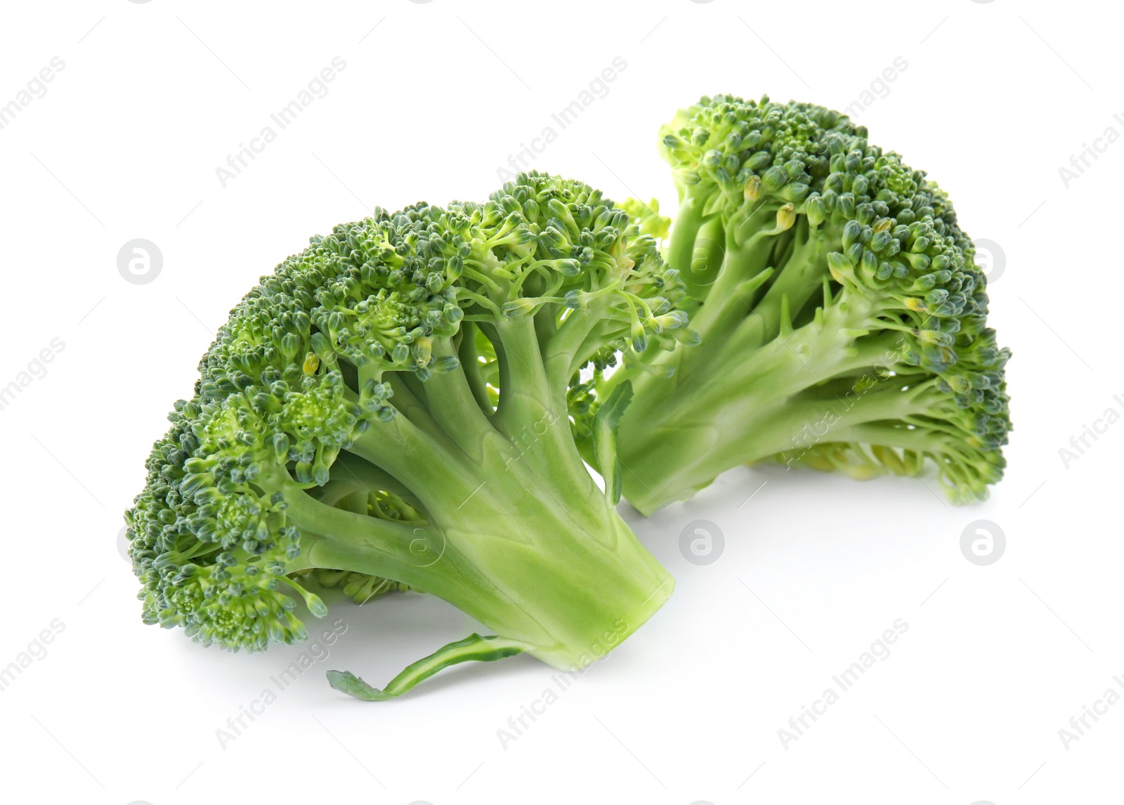 Fresh broccoli isolated on white. Edible green plant Photo of Fresh broccoli isolated on white. Edible green plant