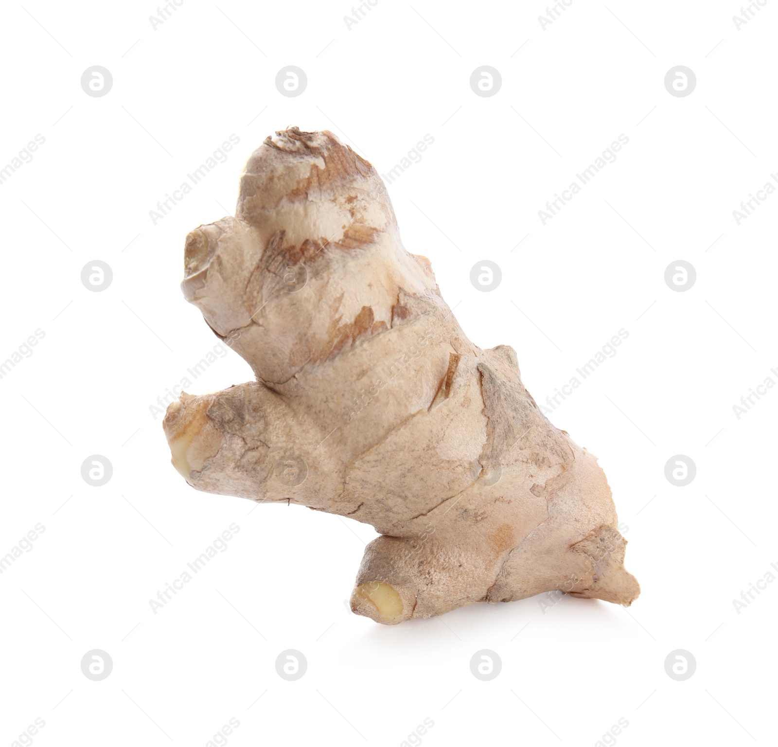 Whole fresh ginger root isolated on white Photo of Whole fresh ginger root isolated on white