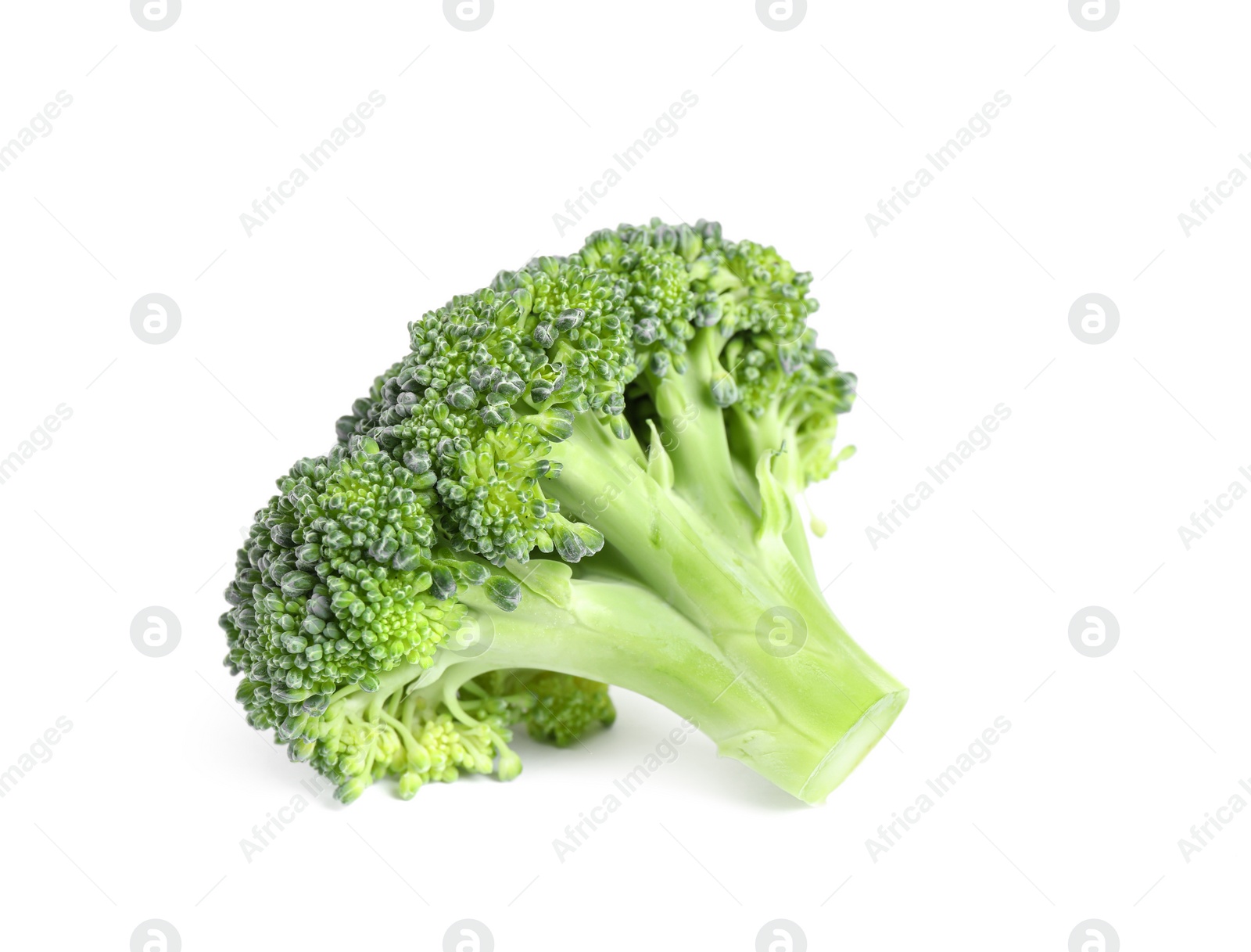 Fresh green raw broccoli on white background Photo of Fresh green raw broccoli on white background